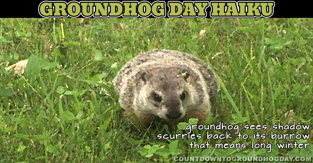 groundhog sees shadow, scurries back to its burrow, that means long winter