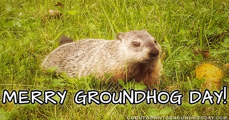 Merry Groundhog Day