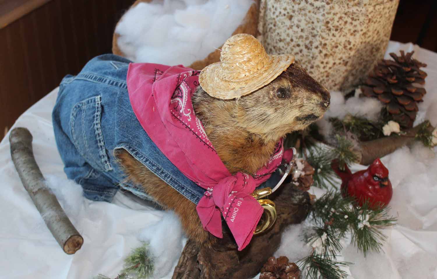 Grover the Groundhog and Sweet Arrow Sue