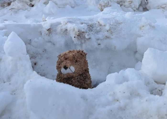 Portage la Prairie Larry