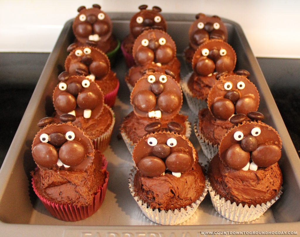 Groundhog cupcakes