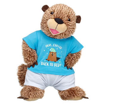 Groundhog Day build a bear set