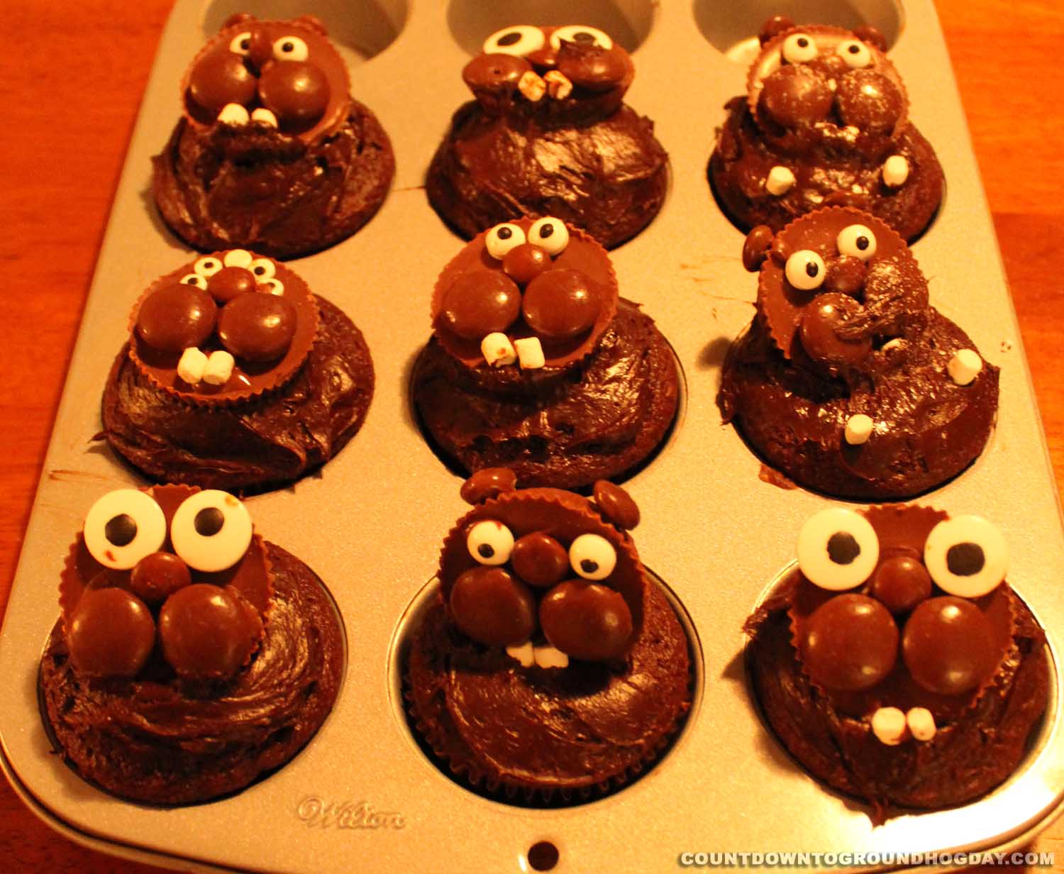 Groundhog Cupcakes