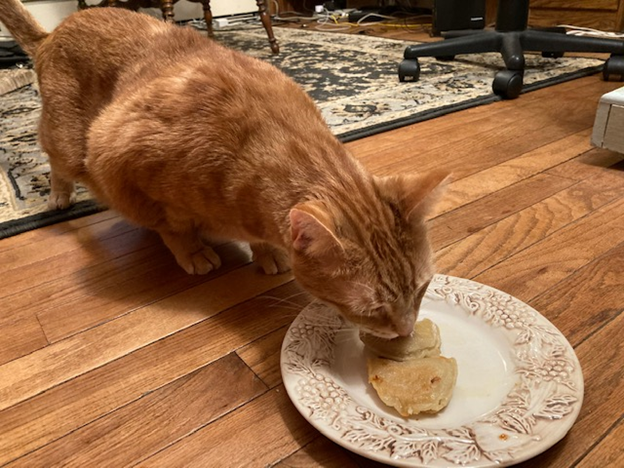 Concord Casimir showed up late this year to taste his special Groundhog Day Pierogis