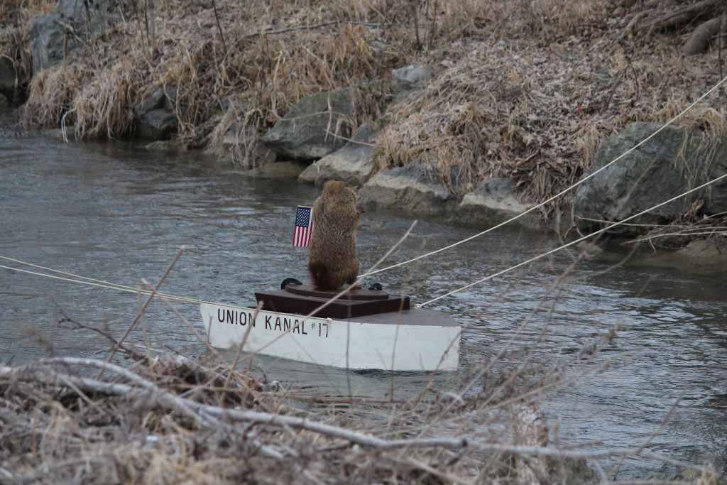 Groundhog Uni on his raft