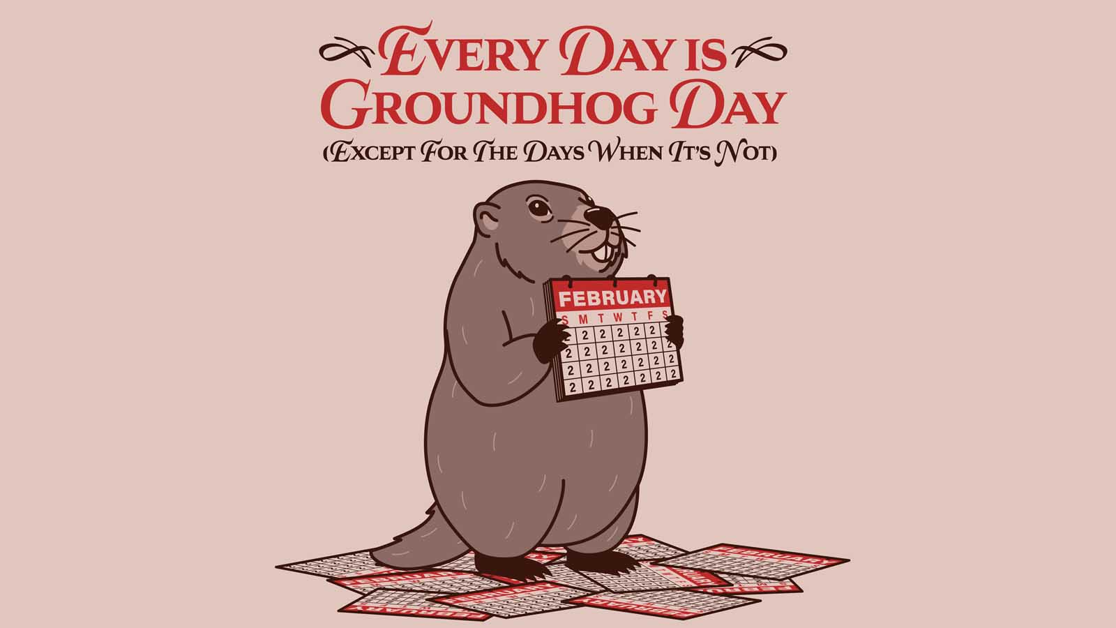 Sylvia, the Apex Armadillo episode of Every Day Is Groundhog Day