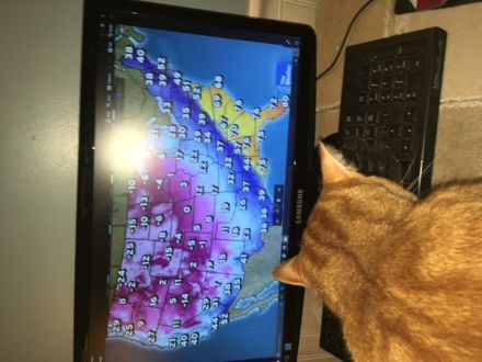 Casimir has spent a lot of time this season studying the weather and getting a chuckle out of some of the 'fancy pants' meteorologists trying to compete with his forecasts